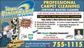 High Performance Carpet Cleaning image 10