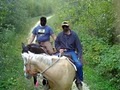 Hill City Horse Rides image 4