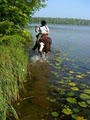 Hill City Horse Rides image 9