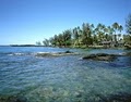 Hilo Vacation Rentals image 7