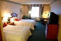 Hilton Garden Inn Allentown Airport image 6