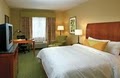 Hilton Garden Inn Buffalo Airport image 3