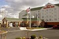 Hilton Garden Inn Buffalo Airport image 6