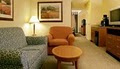 Hilton Garden Inn Buffalo Airport image 10