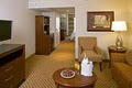 Hilton Garden Inn Savannah Midtown image 9