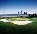 Hilton Oceanfront Resort Hilton Head Island image 3