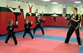 Hoffmann Karate image 1