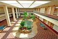 Holiday Inn Express Hotel Rochester-City Ctr/Mayo Clinic image 1