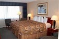 Holiday Inn Hotel Alexandria-I-95 @ Telegraph Rd image 4