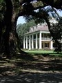 Houmas House Plantation and Gardens image 7