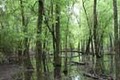 Houston Arboretum & Nature Center logo