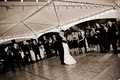 Huffaker Photography - Professional Wedding Photographer image 5