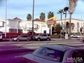 In-N-Out Burger image 4