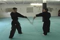 International Sanjuriu Martial image 4