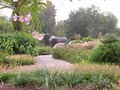 Jacksonville Zoo & Gardens image 4