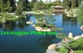 Japanese Garden image 4