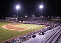 Joker Marchant Stadium logo