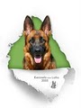 Kennels von Lotta German Shepherds image 4