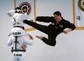 Korean Martial Arts image 2