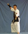Korean Martial Arts image 3