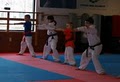 Kwang's USA Taekwondo Academy image 3