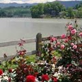 Lake Junaluska Conference and Retreat Center image 2