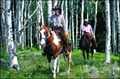 Laramie River Dude Ranch image 10