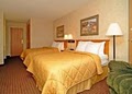 LeClaire Comfort Inn & Suites Riverview image 4
