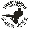 Lead By Example Tae Kwon Do - GREAT FALLS image 2