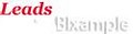 Leads BI Xample image 2