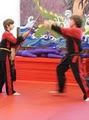 Lehigh Valley Isshin Ryu Karate image 10