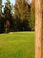 Lexington Golf Club image 3