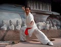 Li's Chinese Martial Arts & Internal Healing Center image 2