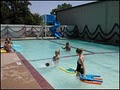 Little Fins Swim School image 1