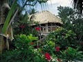 Little Palm Island Resort & Spa - Official Site image 10