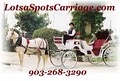 Lotsa Spots Carriage image 1