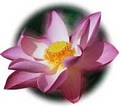 Lotus Group image 1