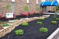 Magic Mulch image 3