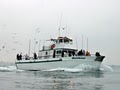 Malihini Sportfishing/ BM Sportfishing INC image 3