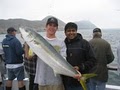Malihini Sportfishing/ BM Sportfishing INC image 4