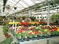Malmborg's Garden Center image 7