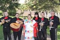 Mariachi Torero image 1