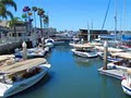 Marina Boat Rentals image 3