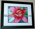 Mathews Photo Arts image 6
