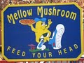 Mellow Mushroom image 3