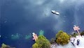 Mermet Springs - Scuba Diving image 2