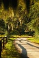 Middleton Place image 7