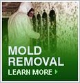 Mold Removal Service of United Restoration & Construction image 1