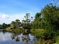 Morikami Museum & Park image 8