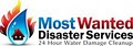 Most Wanted Disaster Services logo